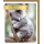 Geburtstag Snapshot Glückwunschkarte mit Umschlag Lieblingsbär Koala