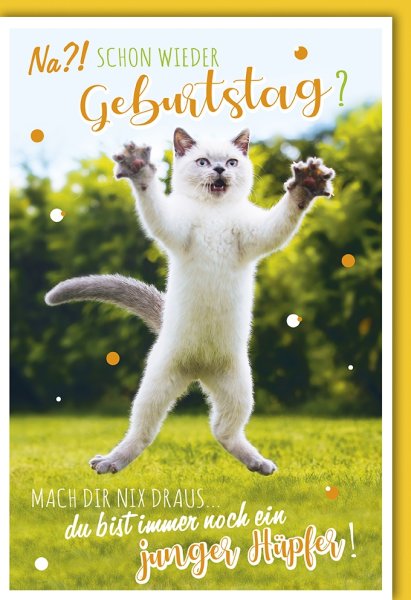 Geburtstag - Glückwunschkarte im Format 11,5 x 17 cm mit Umschlag - Junger Hpüfer - Verlag Dominique