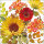 Servietten Lunch – Napkin Lunch – Format: 33 x 33 cm – 3-lagig – 20 Servietten pro Packung - Sunny Flowers Cream – Sonnige Blumen creme