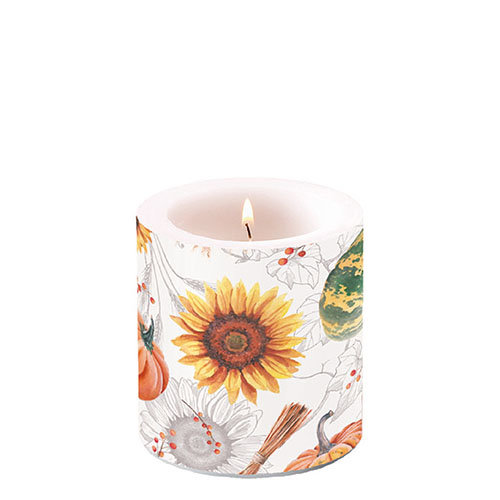 Kerze klein – Candle small – Format: Ø 7,5 cm x 9 cm – Brenndauer: 35 Std. - 1 Kerze pro Packung - Pumpkins & Sunflowers – Kürbisse & Sonnenblumen