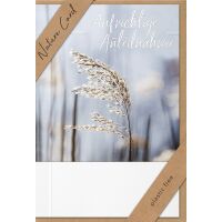 Geburtstag Nature Cards unverpackte Glückwunschkarte mit Umschlag Wunderkerzen Strand Happy Birthday