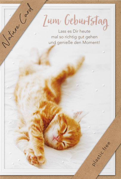 Geburtstag – Nature Cards – unverpackt - Glückwunschkarte im Format 11,5 x 17,5 cm mit Briefumschlag – Katze