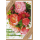 Ohne Text Nature Cards unverpackte Glückwunschkarte mit Briefumschlag Blumenstrauß