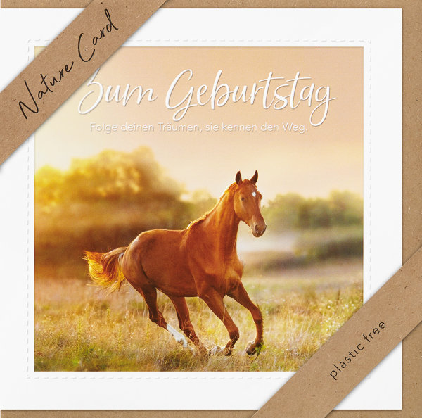 Geburtstag – Nature Cards – unverpackt - Glückwunschkarte im Format 15,5 x 15,5 cm mit Briefumschlag - Pferd auf Wiese