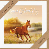 Geburtstag – Nature Cards – unverpackt - Glückwunschkarte im Format 15,5 x 15,5 cm mit Briefumschlag - Pferd auf Wiese