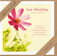 Geburtstag – Nature Cards – unverpackt - Glückwunschkarte im Format 15,5 x 15,5 cm mit Briefumschlag – Blume