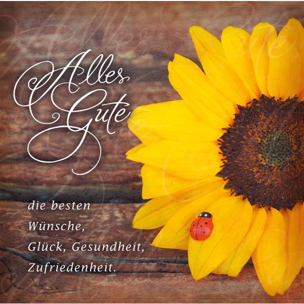 Allgemeine Wünsche Alles Gute Sonnenblume Romantica quadratische Glückwunschkarte mit Umschlag