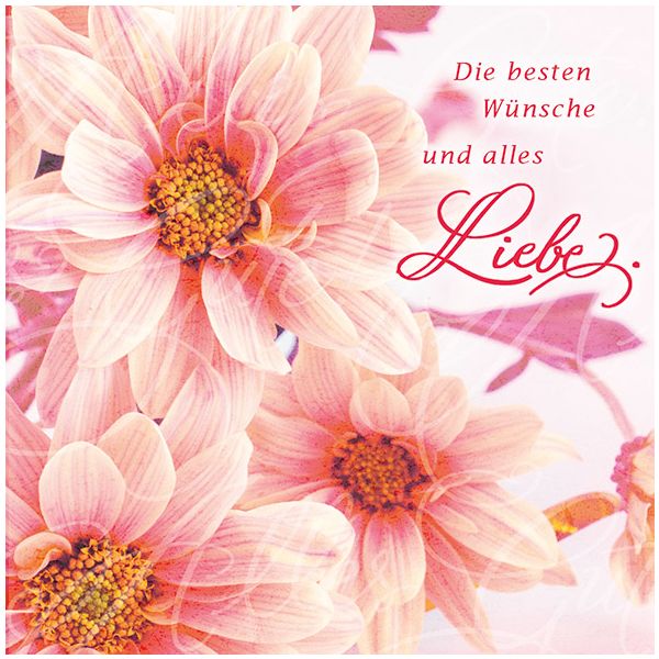 Allgemeine Wünsche große Blumen Romantica quadratische Glückwunschkarte mit Umschlag