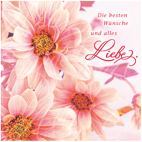 Allgemeine Wünsche große Blumen Romantica quadratische Glückwunschkarte mit Umschlag