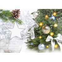 Weihnachten Flashlight Soundkarte und Lichtkarte 14,8 x 21,0 cm Frohe Weihnachten und ein gesundes neues Jahr! Lied: Stille Nacht