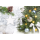 Weihnachten Flashlight Soundkarte und Lichtkarte 14,8 x 21,0 cm Frohe Weihnachten und ein gesundes neues Jahr! Lied: Stille Nacht