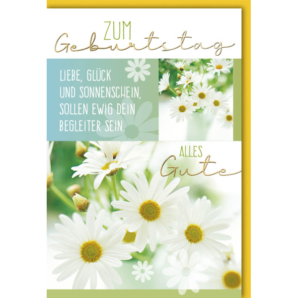 Geburtstag Glückwunschkarte mit Umschlag Margeriten weiss mit Text