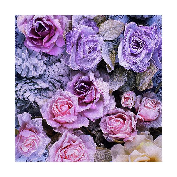 A Weihnachten Servietten Lunch Napkin Lunch Format: 33 x 33 cm 3-lagig 20 Servietten Winter Roses