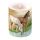 Kerze gross Candle Big Format: Ø 12 cm x 10 cm 1 Kerze pro Packung Horses Pferde