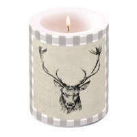 A - 01.03.23 - Candle Big Checked Stag Head Brown   h...