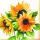 Servietten Format: 33 x 33 cm 3-lagig 20 Servietten Girasoli Sonnenblumen