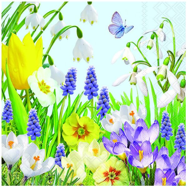 Servietten Lunch Spring Time Frühling 33 x 33 cm 20 Servietten
