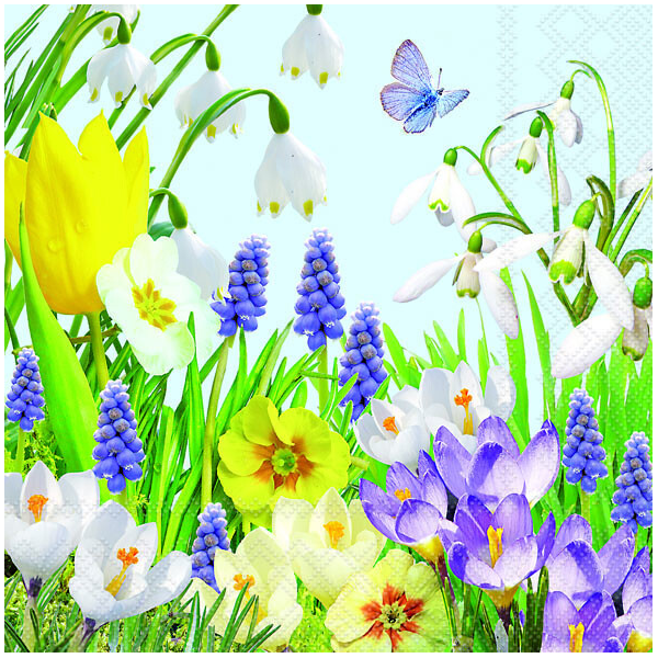 Servietten Lunch Spring Time Frühling 33 x 33 cm 20 Servietten
