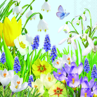 Servietten Lunch Spring Time Frühling 33 x 33 cm 20...