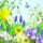 Servietten Lunch Spring Time Frühling 33 x 33 cm 20 Servietten