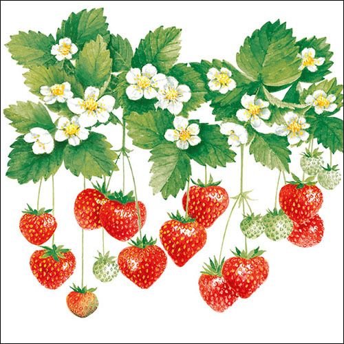 Servietten Lunch – Napkin Lunch – Format: 33 x 33 cm – 3-lagig – 20 Servietten pro Packung - Summer Fruits – Erdbeeren - Ambiente