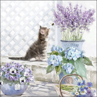 Servietten Lunch Kitten Katze mit Lavendel 33x33cm 20...