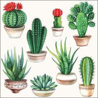 Servietten Lunch Kakteen Cactus White 33x33cm 20 Servietten