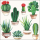 Servietten Lunch Kakteen Cactus White 33x33cm 20 Servietten