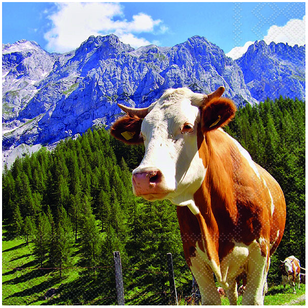 Servietten Format: 33 x 33 cm 3-lagig 20 Servietten Alpen Kuh