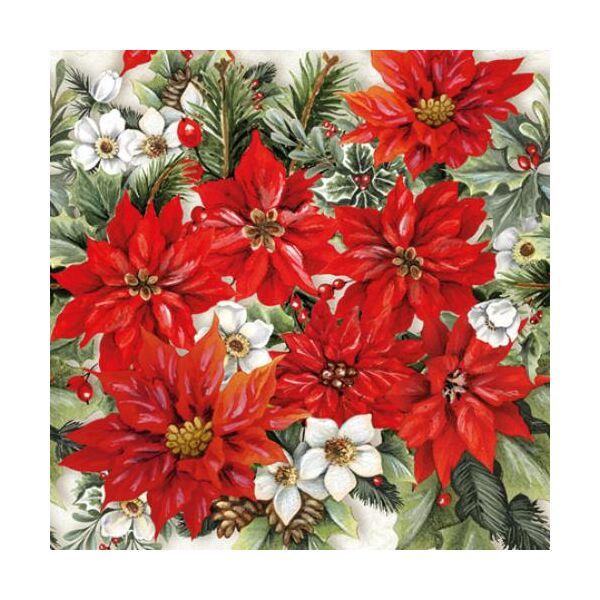 Weihnachten Servietten 25 x 25 cm 20 Servietten 3-lagig Poinsettia All Over Weihnachtsstern Blumen