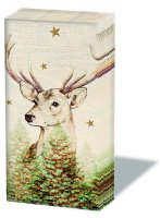 Weihnachten - Taschentücher  21,5 x 22 cm –...