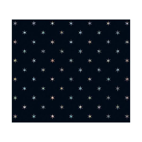 Geschenkpapier mit Metallicdruck Röllchen 70x150 cm Holographische Sterne schwarz