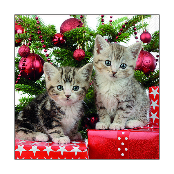 Weihnachten Servietten Lunch 33 x 33 cm 3-lagig 20 Servietten Christmas Kitten Weihnachtskatzen