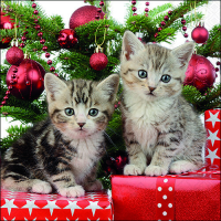 Weihnachten Servietten Lunch 33 x 33 cm 3-lagig 20...