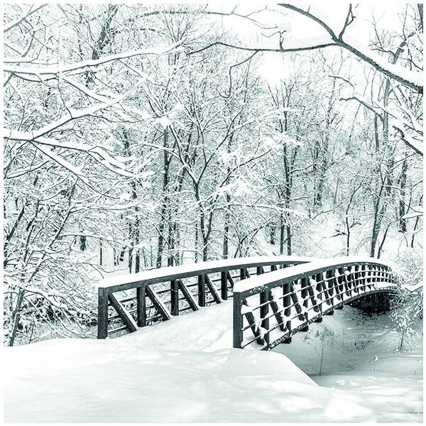 Weihnachten Servietten Lunch Napkin Lunch Format: 33 x 33 cm 3-lagig 20 Servietten Snow Bridge Schneebrücke