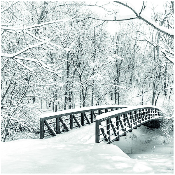 Weihnachten Servietten Lunch Napkin Lunch Format: 33 x 33 cm 3-lagig 20 Servietten Snow Bridge Schneebrücke