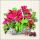 Weihnachten Servietten Lunch Napkin Lunch Format: 33 x 33 cm 3-lagig 20 Servietten Poinsettia In Basket