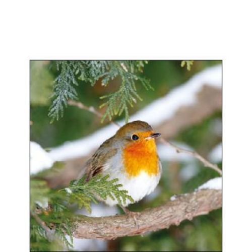 Weihnachten - Servietten - 25 x 25 cm - 20 Servietten pro Packung - 3-lagig - Robin In Tree FSC Mix - Vogel auf Baum