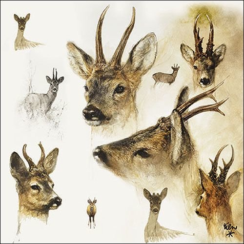 Servietten Lunch – Napkin Lunch – Format: 33 x 33 cm – 3-lagig – 20 Servietten pro Packung - Portraits Of Deer – Hirsche