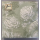 Servietten Lunch 33 x 33 cm 3-lagig 20 Servietten Etching Roses Green Rosen