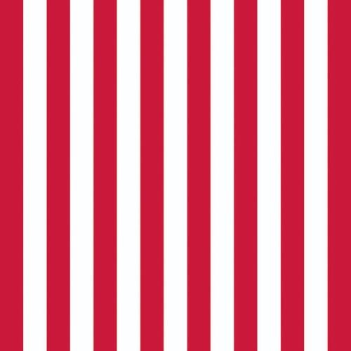 Servietten Lunch – Napkin Lunch – Format: 33 x 33 cm – 3-lagig – 20 Servietten pro Packung - Stripes Red – weiße und rote Streifen - Ambiente