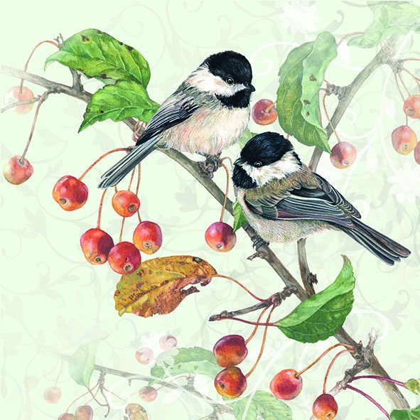 Servietten Lunch – Napkin Lunch – Format: 33 x 33 cm – 3-lagig – 20 Servietten pro Packung - Chickadee – Vögel auf Ast - Ambiente