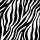 A - Servietten Lunch – Napkin Lunch – Format: 33 x 33 cm – 3-lagig – 20 Servietten pro Packung - Zebra Stripes Black – Zebrastreifen _schwarz