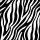 A Servietten Lunch Napkin Lunch Format: 33 x 33 cm 3-lagig 20 Servietten Zebra Stripes Black Zebrastreifen _schwarz
