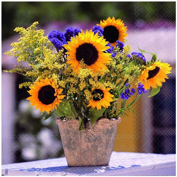 Servietten 33 x 33 cm 3-lagig 20 Servietten Sunflower Bouquet Sonnenblumenstrauss Lunchservietten Ambiente