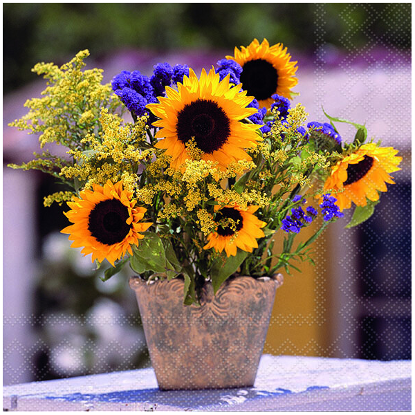 Servietten 33 x 33 cm 3-lagig 20 Servietten Sunflower Bouquet Sonnenblumenstrauss Lunchservietten Ambiente