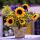 Servietten 33 x 33 cm 3-lagig 20 Servietten Sunflower Bouquet Sonnenblumenstrauss Lunchservietten Ambiente