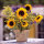 Servietten Lunch – Napkin Lunch – Format: 33 x 33 cm – 3-lagig – 20 Servietten pro Packung - Sunflower Bouquet – Sonnenblumenstrauss