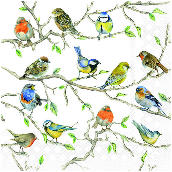 Servietten Lunch Birds Meeting Vogeltreffen 33x33cm 20 Servietten