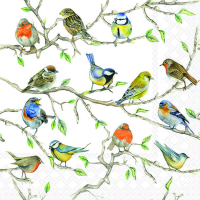 Servietten Lunch Birds Meeting Vogeltreffen 33x33cm 20...